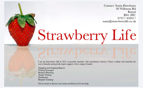 Strawberry Life Consulting